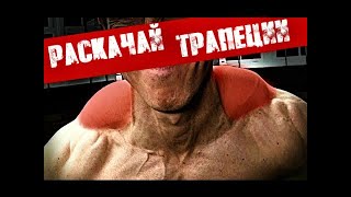 2 УПРАЖНЕНИЯ ДЛЯ БОЛЬШИХ ТРАПЕЦИЙ - добавь в свою тренировку | Джефф Кавальер