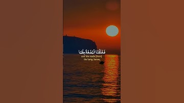 القرآن الكريم #quotes #shortvideo #subscribe #اكسبلور #duet #life #design #quran #راحة_نفسية #duetd
