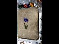 Lale Ebrusu-Tulips