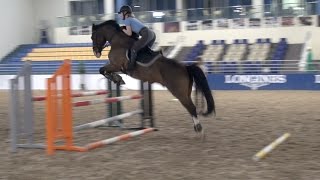 Jumping my friends 14 year old dressage horse quattro! i will start to
jump him once or twice a month for friend vary his training regime :d
sponsored ...