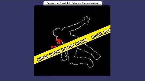 Summary of Bloodstain Evidence Documentation