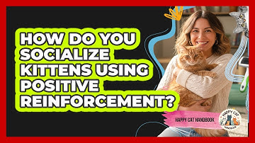 How Do You Socialize Kittens Using Positive Reinforcement? - Happy Cat Handbook