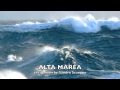 "Alta Marea" Antonello Venditti.. Sax version by Sandro Scuoppo facebook fanclub