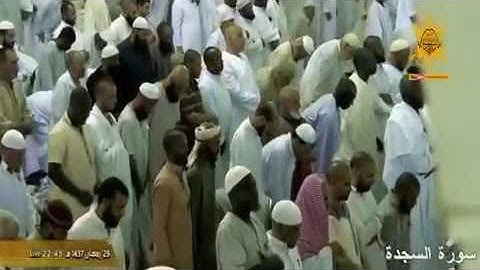 قراءة فوق الوصف للشيخ ياسر الدوسري ماتيسر من سورة السجدة