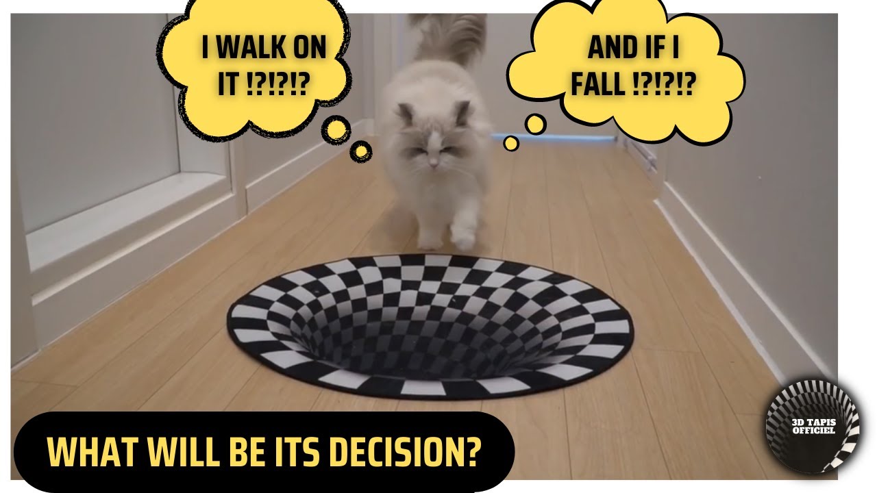 #IndoorSinkhole #CatReact 😺 cats vs indoor sinkhole 😸 3D Carpet Cat video