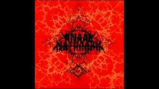 Anaal Nathrakh - When the lion devours both dragon and child Sub español
