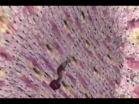 The Tear Garden - Have A Nice Trip