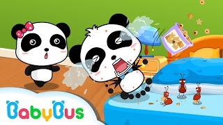 Bed Bugs and Beyond | Animation For Babies | BabyBus