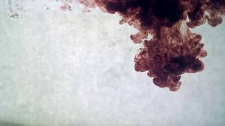 Rebel Vampires (Official Fantasy Vampire Book Trailer) by Rosemary A Johns