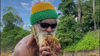 How I Make Sea Moss Gel