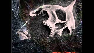 Stereoxyde - Perry pathétique