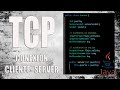 Comunicación TCP en JAVA | ¿Qué es TCP/IP? | Primeros Pasos | DAM