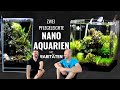 Unglaubliche Nanoaquarien: Seltene Pflanzen, mühelose Pflege und eine außergewöhnliche Form!