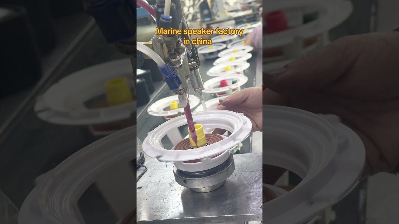 Our professional speaker customization factory can offer you a different speaker?