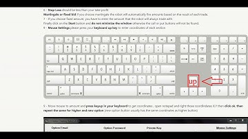 IF Option Robot Basic  V0.6 Guide - Only 5 USD/Month