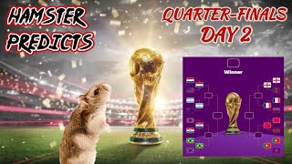 World Cup 2022 | Quarter Finals 2 | Hamster knows the semifinalists!  Animal football predictions 🐹 by Have you seen my hamsters? 1,029 views 1 year ago 1 minute, 39 seconds