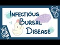 Infectious Bursal Disease - causes, pathophysiology, clinical signs, diagnosis, treatment