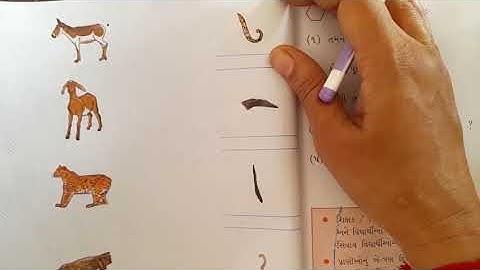 std 2 kallol bhag 1 path 4 p n 40 to 42