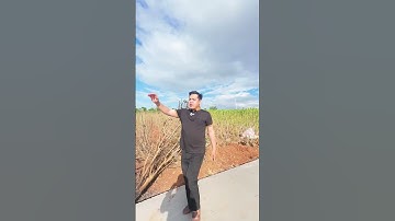 🎯 ĐẤT NỀN TÂN HỘI – ĐỨC TRỌNG 🎯💰 Giá chỉ từ:395 - 415 – 425 – 479 triệu/nền #bandatdalat #batdongsan