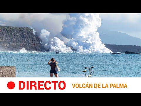 Vídeo: El Que Cal Emportar-se De Vacances Al Mar