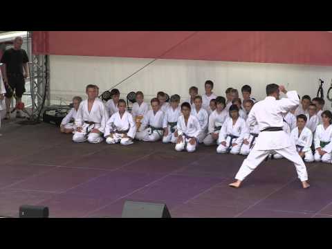 Hegaupresse : Shotokan