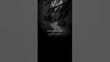 سورة آل عمران (10) القارئ عبد الرحمن مسعد | #quran #قران_كريم #عبدالرحمن_مسعد #سورة_آل_عمران