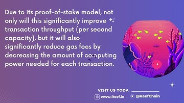 Reef: The Blockchain infrastructure for Next-Gen D-apps