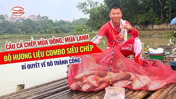 Câu cá chép mùa đông, mưa lạnh | Bộ hương liệu Combo Siêu Chép - Bí quyết về bờ thành công