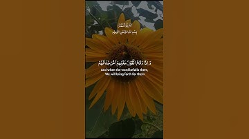 Surah An-Naml  سورة النمل