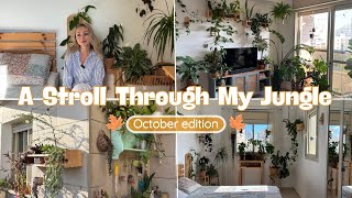 видео: Прохождение октябрьских джунглей 🍁🏡 | Более 150 растений и уютных зелёных уголков картинка: Прохождение октябрьских джунглей 🍁🏡 | Более 150 растений и уютных зелёных уголков