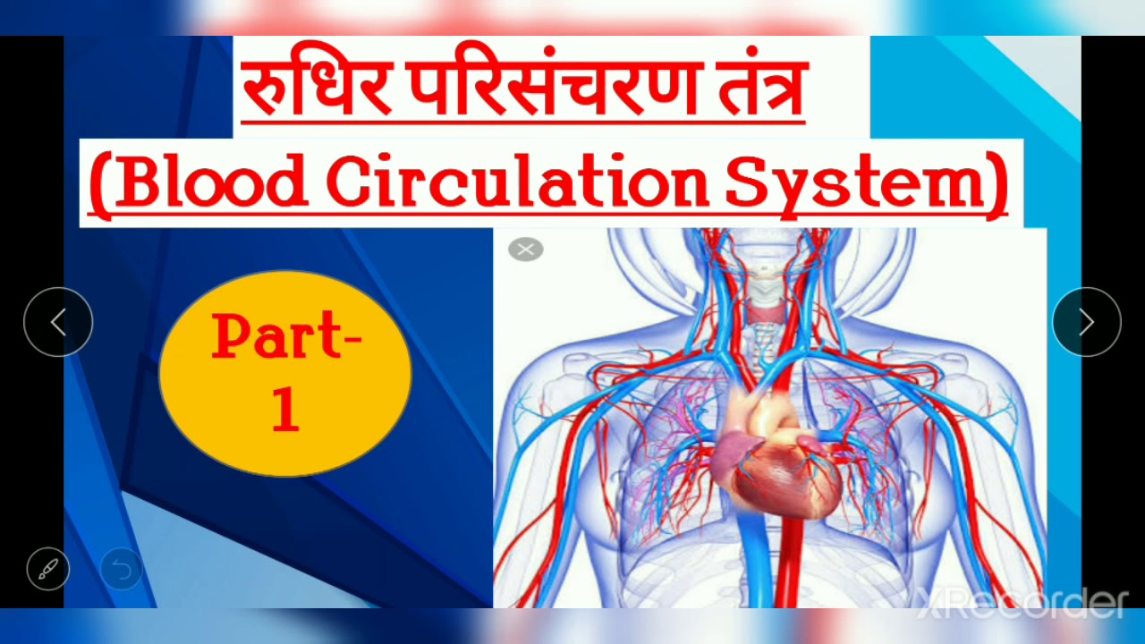 Blood circulation system Part .1 - YouTube