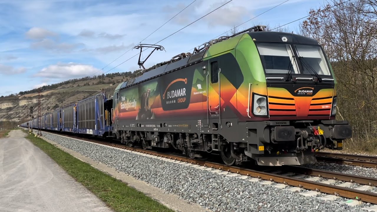 🇩🇪 Zugverkehr/Trains at Thüngersheim 14.03.24
