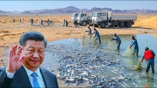 Download Lagu China heeft een zee van vissen in de woestijn vrijgelaten. Wat een maand later gebeurde, schokte bio MP3 Download Lagu China heeft een zee van vissen in de woestijn vrijgelaten. Wat een maand later gebeurde, schokte bio MP3