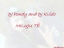 DJ Pondy and DJ Kvdo - Miluju T (rmx DJ Pondy)