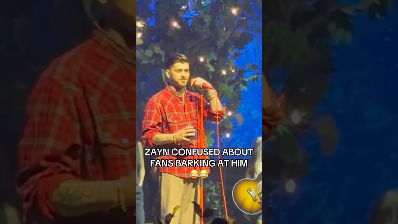 Fans bark at Zayn Malik 🤣