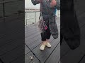 야간 낚시가능 우럭 벌써 대일수산좌대 #fishing #낚시 #ai #video #뉴스 #shorts #ai  #캠핑 #좌대 #텐트 #캠핑카 #야간낚시터 #동호회 #취미