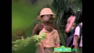 Sesame Street - Safari Letter V