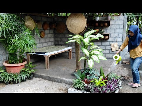 Video: Apakah Itu Taman Atas Meja – Menanam Taman Kecil Di Dapur