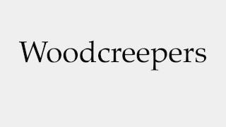 How to Pronounce Woodcreepers