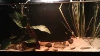 video-2012-03-24-17-40-26.mp4