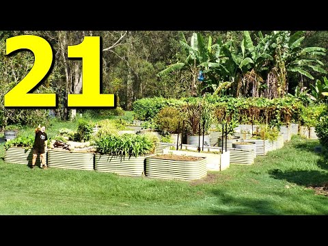 Video: How to Grow Your Own Food Crops: 15 Steps (with Pictures)