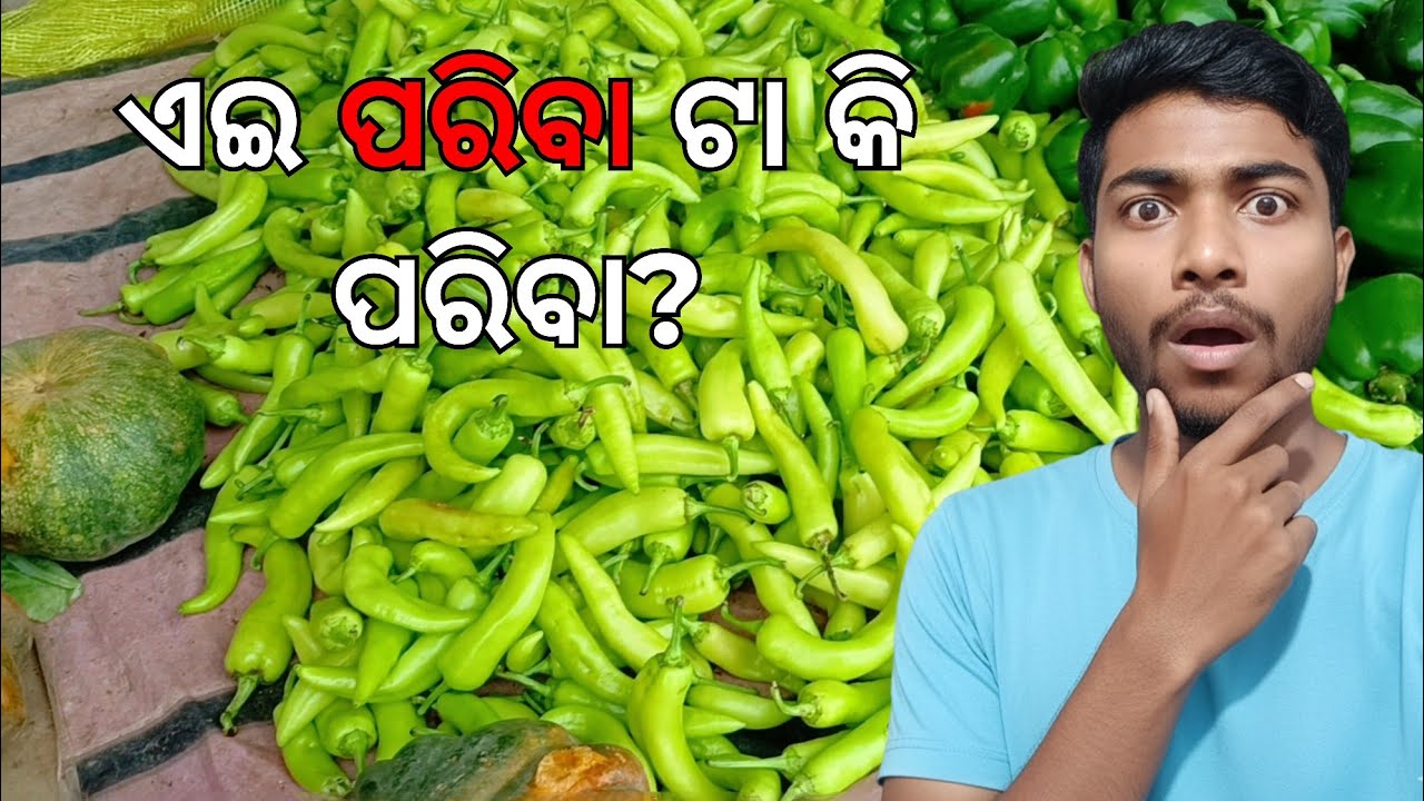 ଏଇ ପରିବା ଟା କି ପରିବା ? ମୋର ତ ଇଛା ହଉଛି କଞ୍ଚା ଖାଇଯିବି || ୧୦୦ ଦିନ ର ଭ୍ଲଗ୍  ଚ୍ୟାଲେଞ୍ଜ || ଦିନ - ୦୨