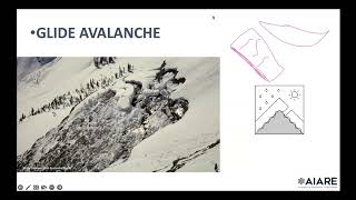 Glide Avalanche - Avalanche Types