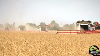 4 Claas Lexion 780 TT Mähdrescher und 2 John Deere 8520 mit Annaburger Überladewagen