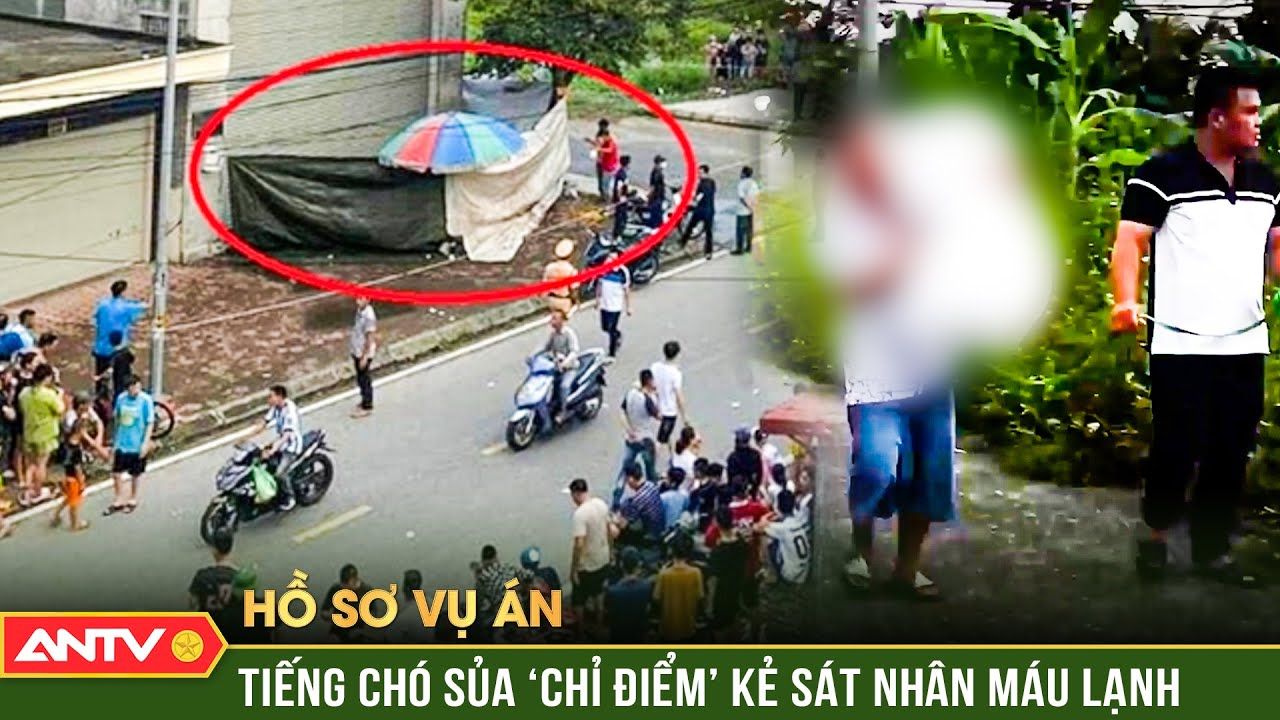Hồ sơ vụ án: Vong hồn kêu oan - Ghê rợn tử thi nữ giới nằm co quắp giữa đường | ANTV