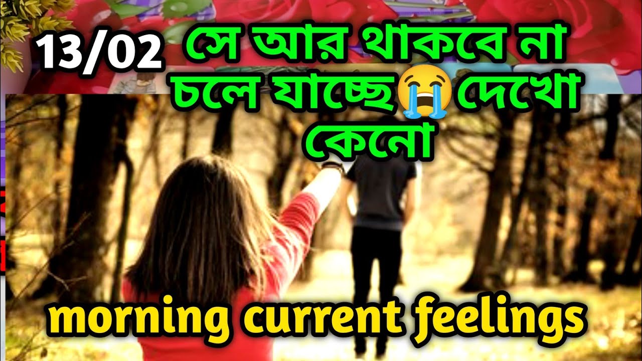সে আর থাকবে না চলে যাচ্ছে😭Morning Thought feelings tarot Current feelings 