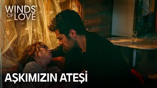 Halil'den Zeynep'e ilk müdahale | Rüzgarlı Tepe 44. Bölüm