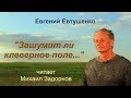 Михаил Задорнов читает стихотворение "Зашумит ли клеверное поле..."