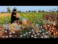 Survival in the rainforest - Today man found egg duck with cabbage & cooking - Eating delicious