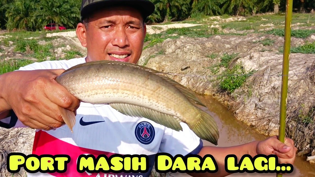 Tahan Tajur Dan Memukat Di Lubuk Dara #gengdunia